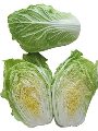 Chinese Cabbage