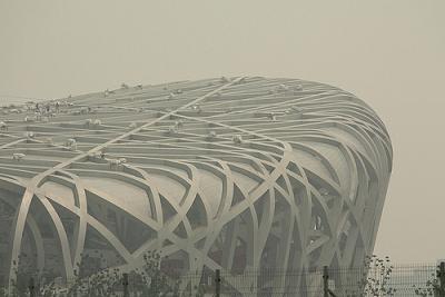Nest with Barbed Wire